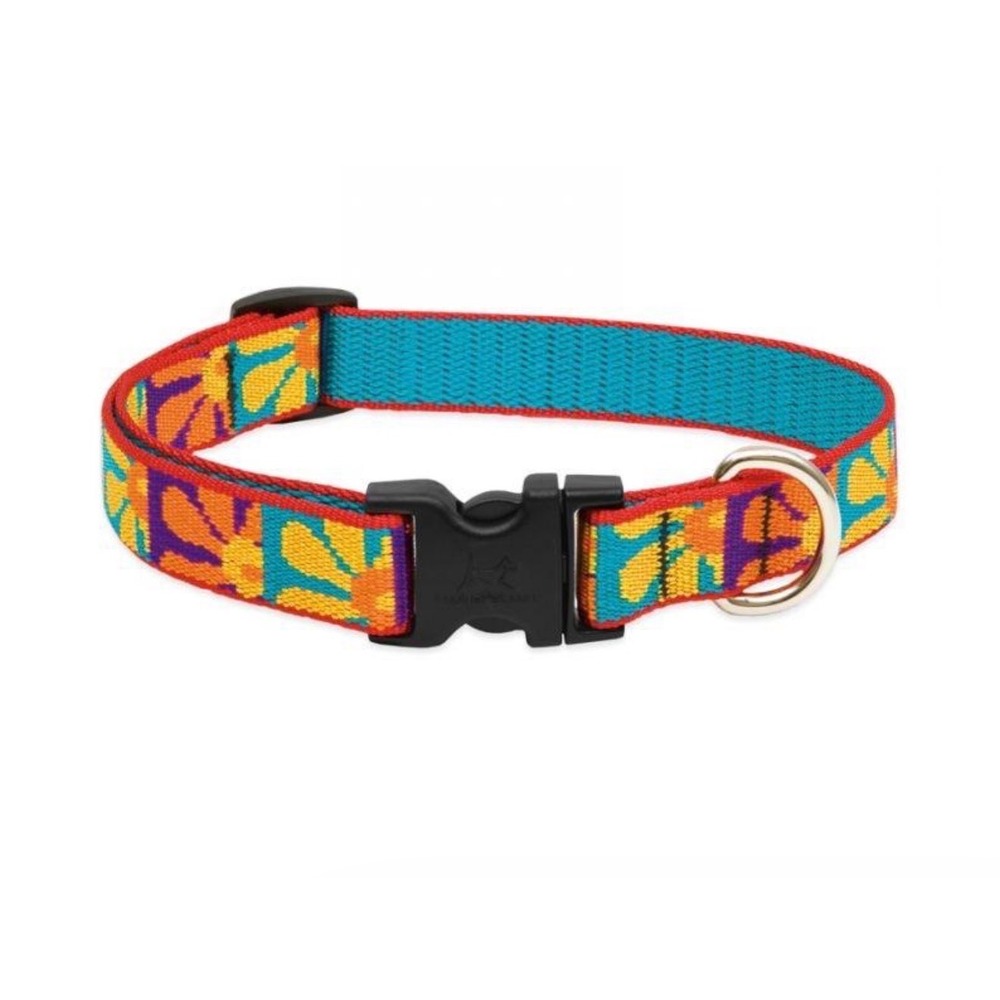 Lupine Pet Dog Collar Crazy Daisy‎ -  3/4 Inch width NWOT